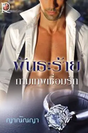 ปกนิยาย