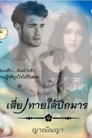 ปกนิยาย