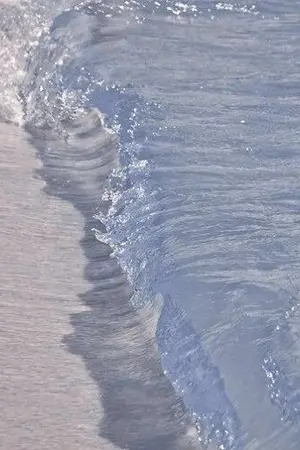 ปกนิยาย 4tune one ; อาโป