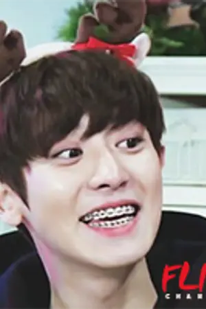 ปกนิยาย [exo] F L I R T -  chanbaek #ชานฟันเหล็ก