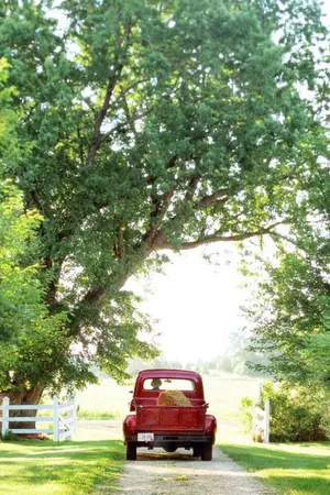 ปกนิยาย แต้มรัก [kaido, kaisoo]