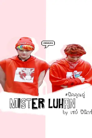 ปกนิยาย SeLu : Mister Luhan