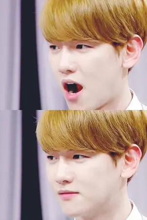 ปกนิยาย (exo') Slutty Moron หล่อแรด สเป็คน้องแบค {Chanbaek}