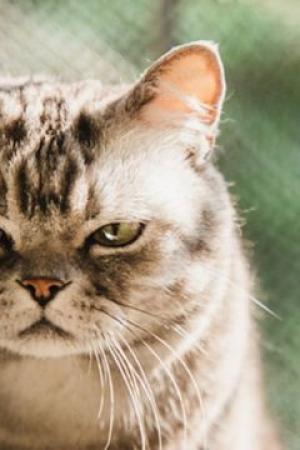 ปกนิยาย เทสหมวด