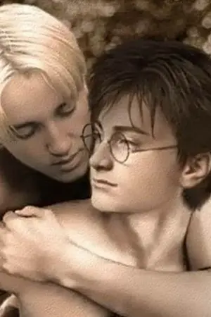 ปกนิยาย Fic Draco x Harry สามมัลฟอยกับคุณแม่ผู้รอดชีวิต