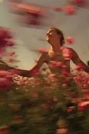 ปกนิยาย —neverland