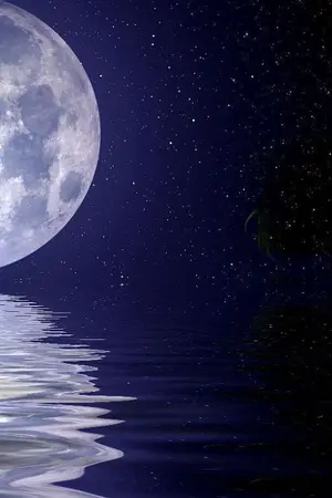 ปกนิยาย เคียงข้างจันทร์