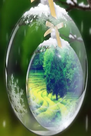 ปกนิยาย ร่มใจรัก ณ.ไร่ชา