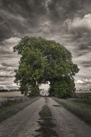 ปกนิยาย โน้ตเรื่อง....วัยเรียน