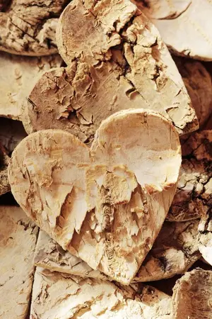 ปกนิยาย เล่ห์อุตพิด