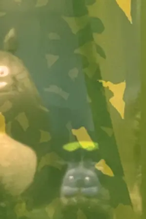 ปกนิยาย เรื่องนี้เพื่อการขายล้วนๆdfgfgdfg