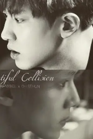 ปกนิยาย BEAUTIFUL COLLISION