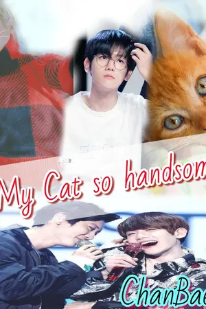 ปกนิยาย My Cat so handsome #แมวของผมหล่อที่สุด Chanbaek