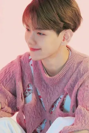 ปกนิยาย BBH-004 | chanbaek