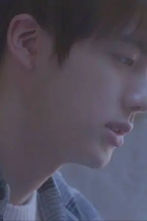 ปกนิยาย [BTS](Jinxyou) Love in the pain
