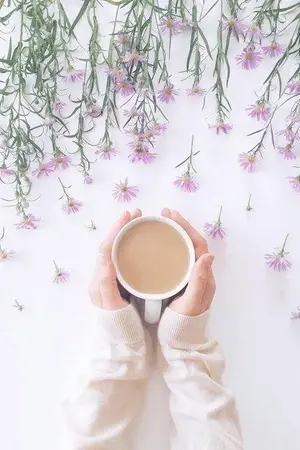 ปกนิยาย จอมทัพกับส้มฉุน