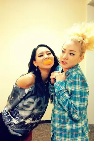 ปกนิยาย พี่สาวจอมจุ้นกับยัยลีดเดอร์ [2NE1 CLxDARA]