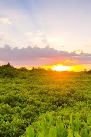 ปกนิยาย เล่ห์ร้าย ซาตานที่รัก