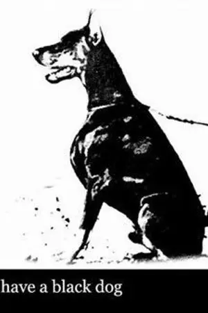 ปกนิยาย นางสาวซึมเศร้า กับ ความเจ็บที่ไร้เสียง