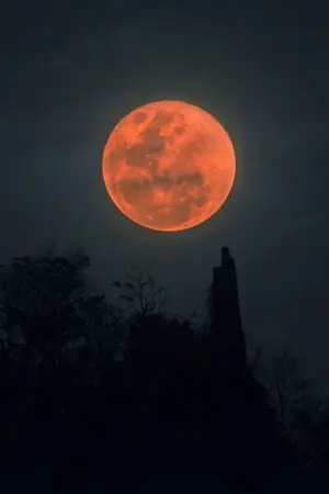 ปกนิยาย Moon Blood #จันทร์สีเลือดmm