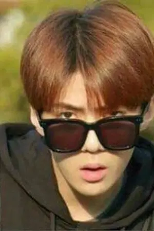 ปกนิยาย Stupid  HunHan