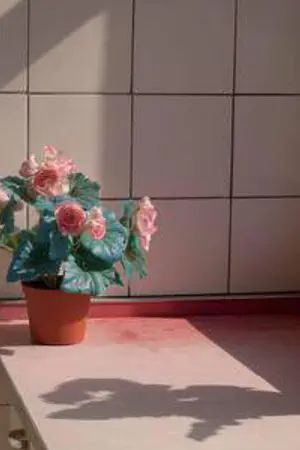 ปกนิยาย WHOLE LOTTA YOU (FENGWEN)