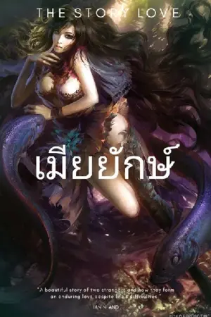 ปกนิยาย