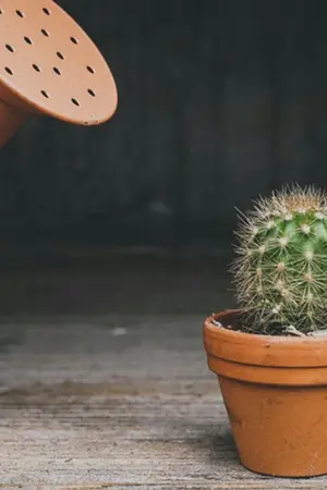 ปกนิยาย ;tag you chanbaek