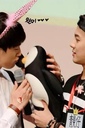 ปกนิยาย Bello gemelli  - got7 fiction -