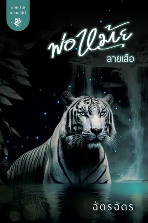 ปกนิยาย พ่อหม้ายลายเสือ