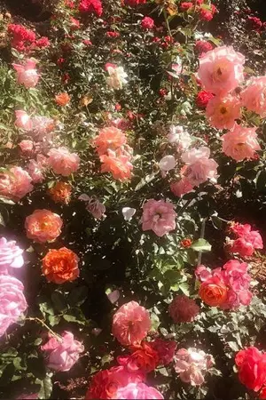 ปกนิยาย ทำยังไงดี อยู่ๆฉันก็หลุดไปโลก BL!