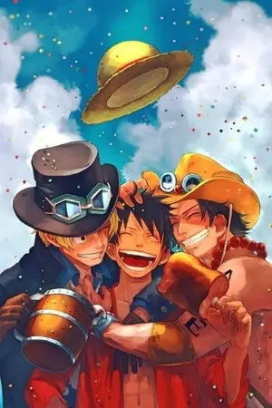 ปกนิยาย {Fic One piece} She is our sister