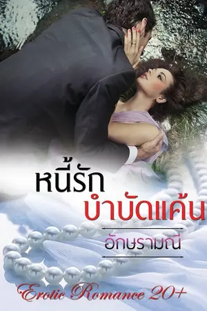 ปกนิยาย หนี้รักบำบัดแค้น