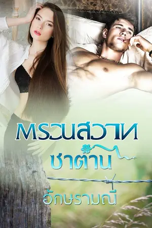 ปกนิยาย