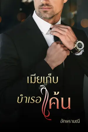 ปกนิยาย เมียเก็บบำเรอแค้น (ฉบับ NC)