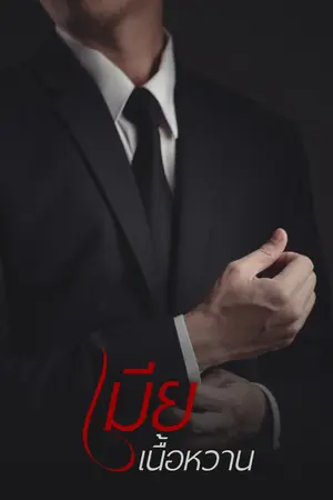 ปกนิยาย เมียเนื้อหวาน