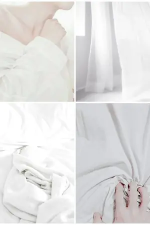 ปกนิยาย Sex friend | sungle