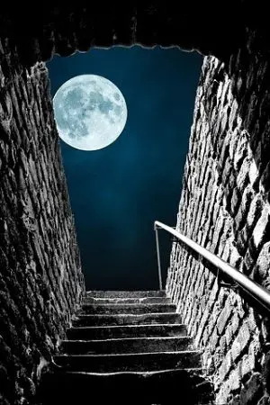 ปกนิยาย ฝันรักยามราตรี