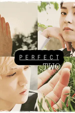 ปกนิยาย (exo) PERFECT  TWO | LUMIN