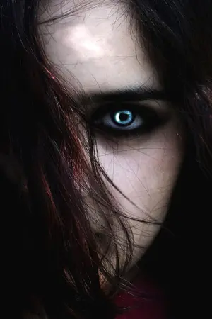 ปกนิยาย The Picture ภาพวาดอาถรรพ์