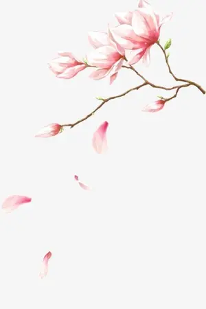 ปกนิยาย เมื่อยามดอกท้อร่วงโรย