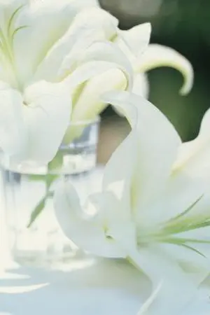 ปกนิยาย ลิลลี่อารักษ์-ลู่หมิน