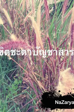 ปกนิยาย