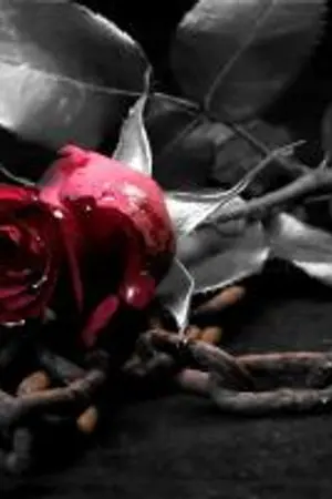 ปกนิยาย โซ่ร้ายพ่ายสวาท [GOT7 - MARKBAM]