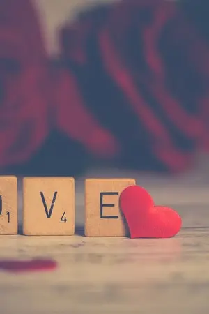 ปกนิยาย ผู้ชายหน้านิ่งกะยัยผู้หญิงหน้าดุ