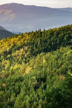 ปกนิยาย นายหญิงที่รัก