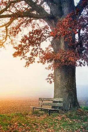 ปกนิยาย ้หนี้แค้นแสนรัก