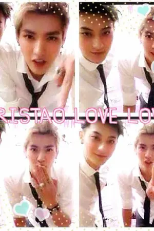 ปกนิยาย FIC KRISTAO FT.EXO