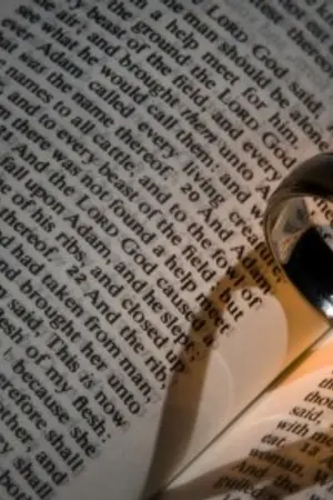 ปกนิยาย ชีวิตที่ฟ้าสรรค์สร้าง