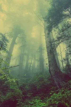 ปกนิยาย เกิดมาเป็นภรรยาในยุคอุก้าอุก้าช่างลำบาก